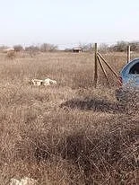 Парцел с.Топола -  - снимка 3 - Имоти Премиер