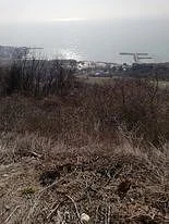 Парцел с.Топола -  - снимка 4 - Имоти Премиер