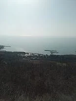 Парцел с.Топола -  - снимка 6 - Имоти Премиер