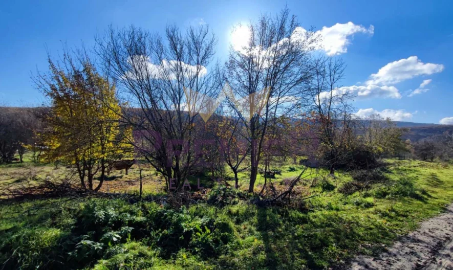 Парцел  с.Църква в близост до черноморските курорти Албена, Кранево, Златни пясъци. -  - снимка 3 - Имоти Премиер