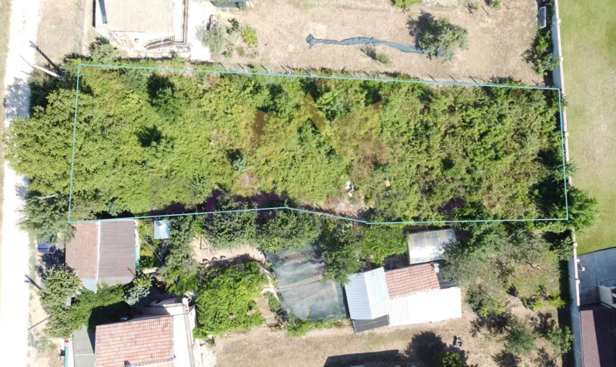 Парцел с.Юнец, област Варна -  - снимка 1 - Имоти Премиер