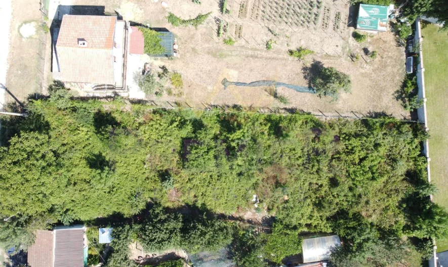 Парцел с.Юнец, област Варна -  - снимка 5 - Имоти Премиер