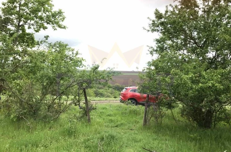 Парцел с.Зорница -  - снимка 9 - Имоти Премиер