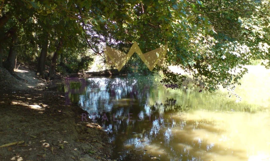 Парцел с.Звездица -  - снимка 5 - Имоти Премиер