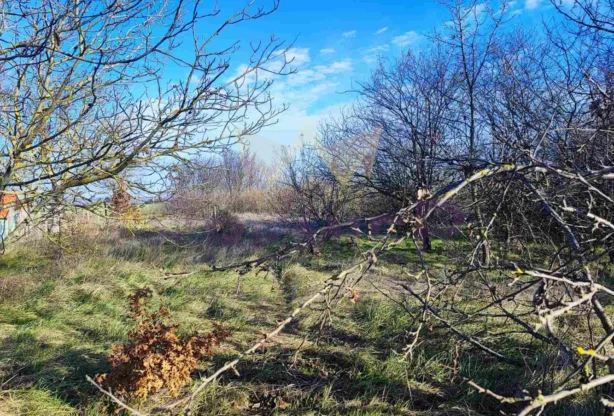 Агенция за недвижими имоти - Имоти Премиер - имот - 969781, Цена: 28000 EUR