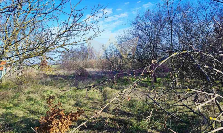 Парцел Царичино -  - снимка 1 - Имоти Премиер