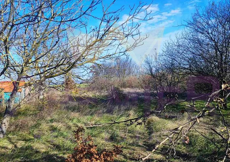 Парцел Царичино -  - снимка 2 - Имоти Премиер