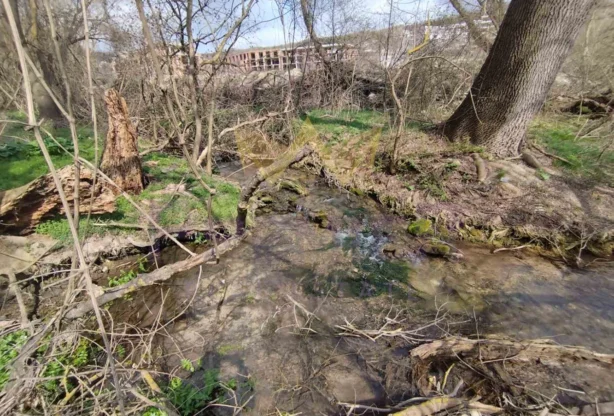 Агенция за недвижими имоти - Имоти Премиер - имот - 850771, Цена: 31000 EUR