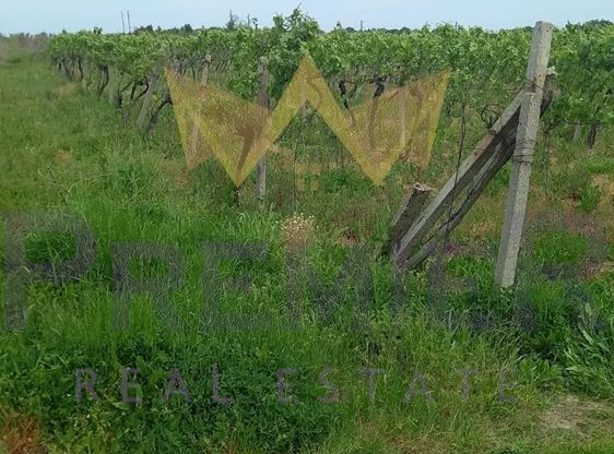 Агенция за недвижими имоти - Имоти Премиер - имот - 973783, Цена: 14000 EUR