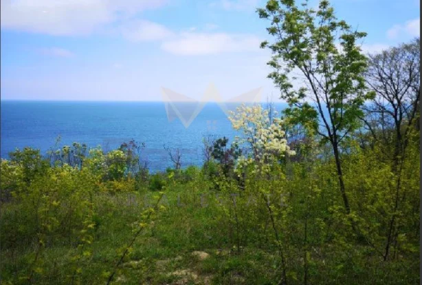 Агенция за недвижими имоти - Имоти Премиер - имот - 878645, Цена: 51800 EUR