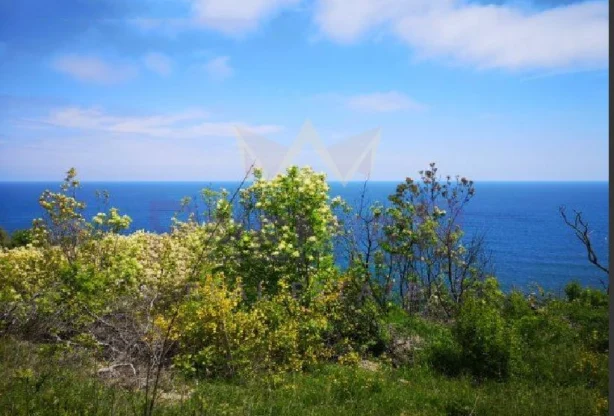 Агенция за недвижими имоти - Имоти Премиер - имот - 878645, Цена: 51800 EUR