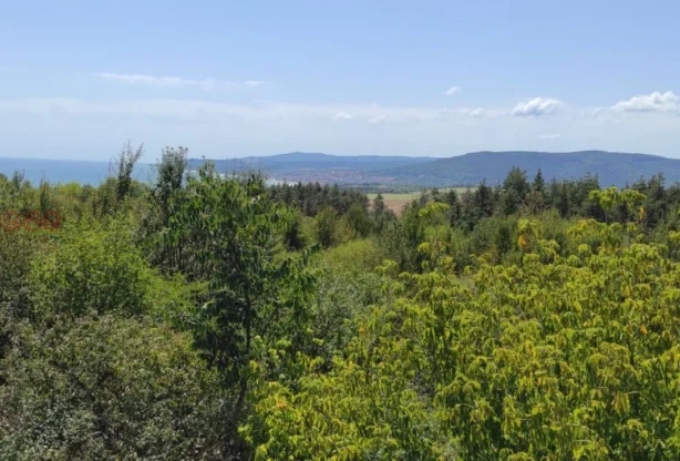 Агенция за недвижими имоти - Имоти Премиер - имот - 1095819, Цена: 23700 EUR