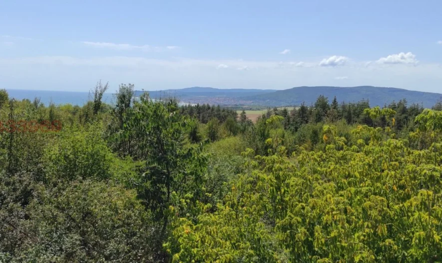 Парцел в гр.Бяла, обл. Варна - - снимка 1 - Имоти Премиер