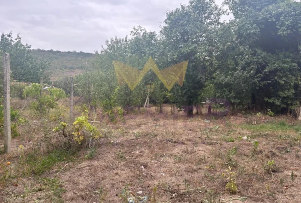 Агенция за недвижими имоти - Имоти Премиер - имот - 1032178, Цена: 29500 EUR