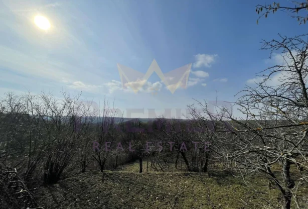 Агенция за недвижими имоти - Имоти Премиер - имот - 743483, Цена: 25500 EUR