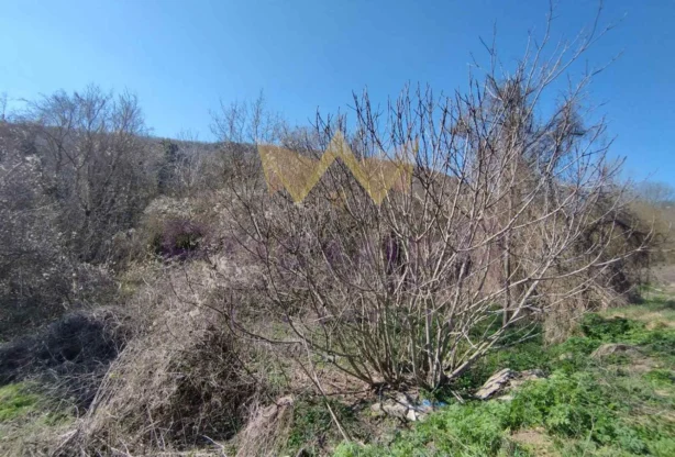 Агенция за недвижими имоти - Имоти Премиер - имот - 999425, Цена: 34000 EUR