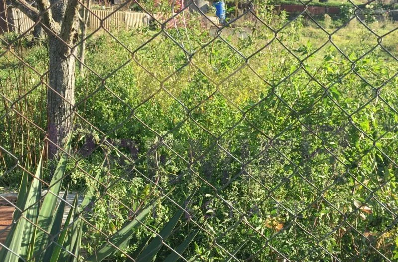 Парцел в м-т Боровец – Север - - снимка 3 - Имоти Премиер