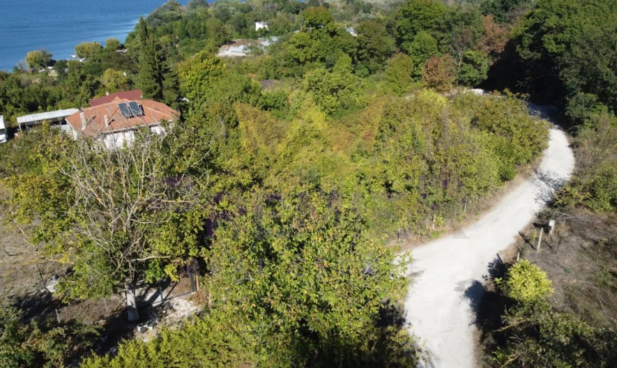 Парцел в м-т Орехчето -  - снимка 2 - Имоти Премиер