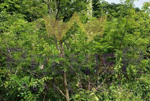 Агенция за недвижими имоти - Имоти Премиер - имот - 1072771, Цена: 65000 EUR