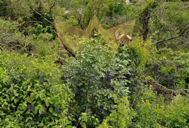 Агенция за недвижими имоти - Имоти Премиер - имот - 1072771, Цена: 65000 EUR