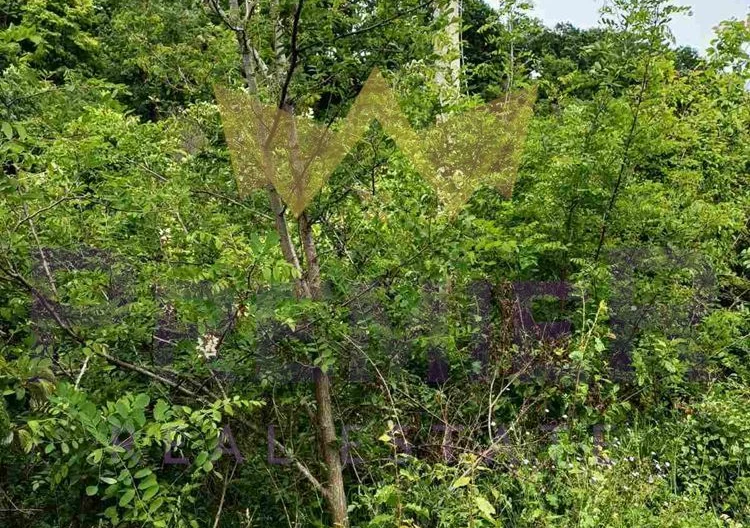 Парцел в м-т Сълзица, гр. Варна - - снимка 2 - Имоти Премиер