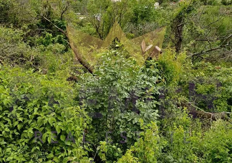 Парцел в м-т Сълзица, гр. Варна - - снимка 3 - Имоти Премиер