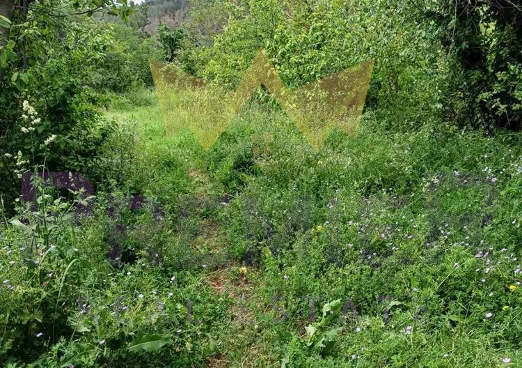 Парцел в м-т Сълзица, гр. Варна - - снимка 5 - Имоти Премиер