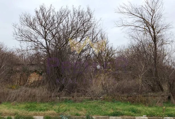 Агенция за недвижими имоти - Имоти Премиер - имот - 969580, Цена: 51000 EUR