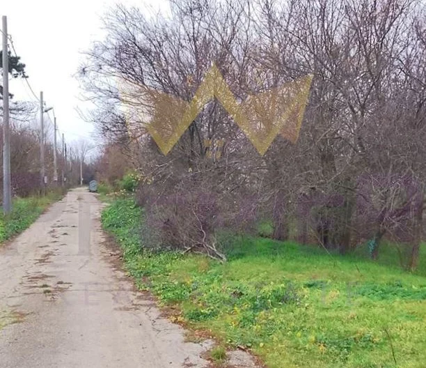 Парцел в регулация. Село Хаджи Димитър, област Добрич -  - снимка 2 - Имоти Премиер