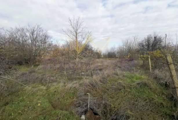 Агенция за недвижими имоти - Имоти Премиер - имот - 969395, Цена: 29000 EUR