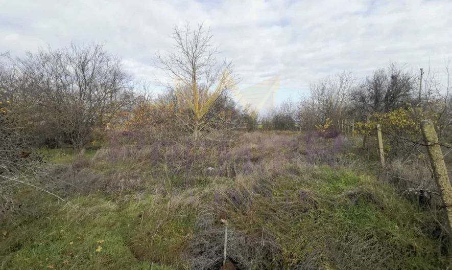 Парцел в регулация с.Царичино - - снимка 1 - Имоти Премиер