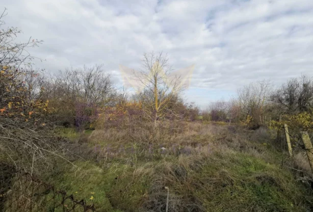 Агенция за недвижими имоти - Имоти Премиер - имот - 969395, Цена: 29000 EUR