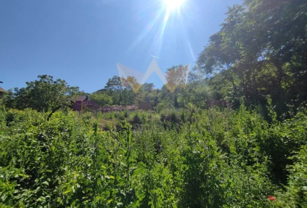 Агенция за недвижими имоти - Имоти Премиер - имот - 910242, Цена: 39900 EUR