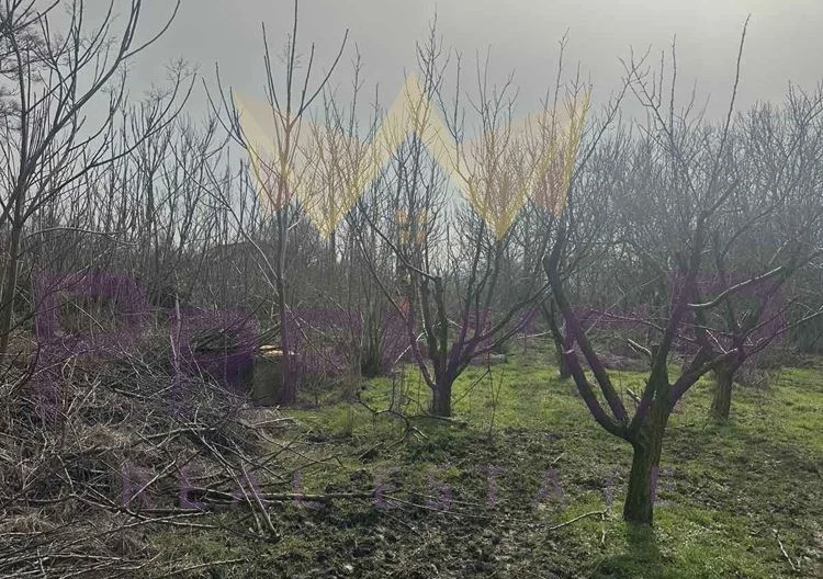 Парцел в с. Аврен с площ 2000 кв.м - - снимка 6 - Имоти Премиер