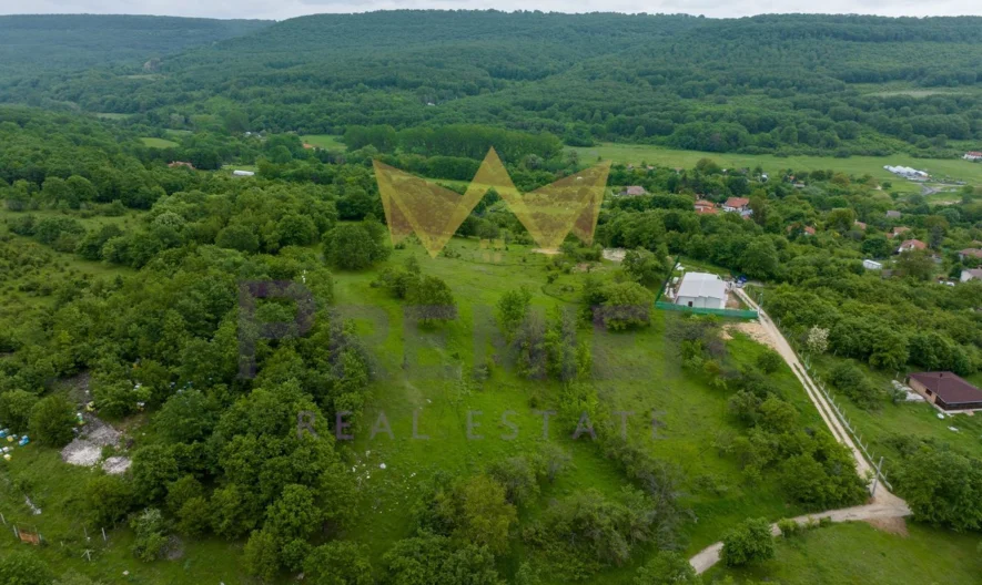 Парцел в с. Долище - - снимка 4 - Имоти Премиер