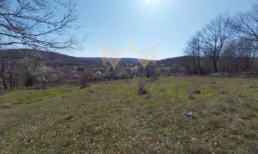 Парцел в с. Долище - - снимка 5 - Имоти Премиер