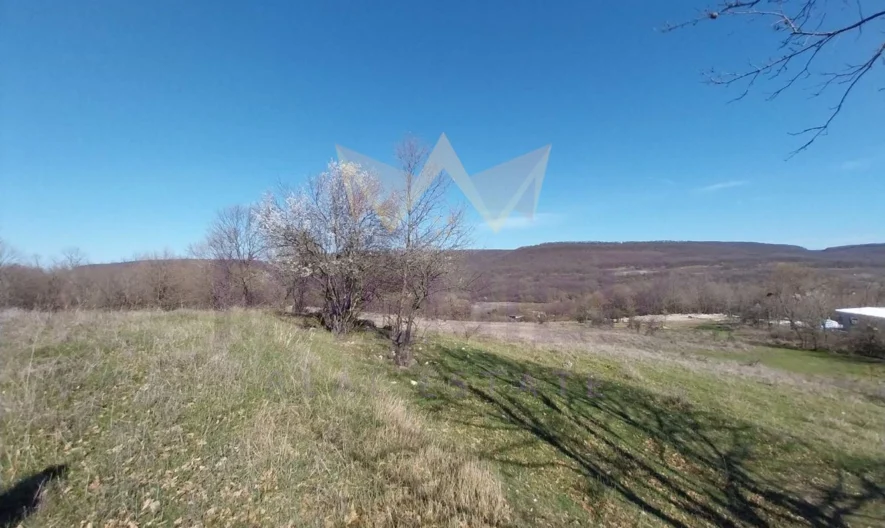 Парцел в с. Долище - - снимка 6 - Имоти Премиер