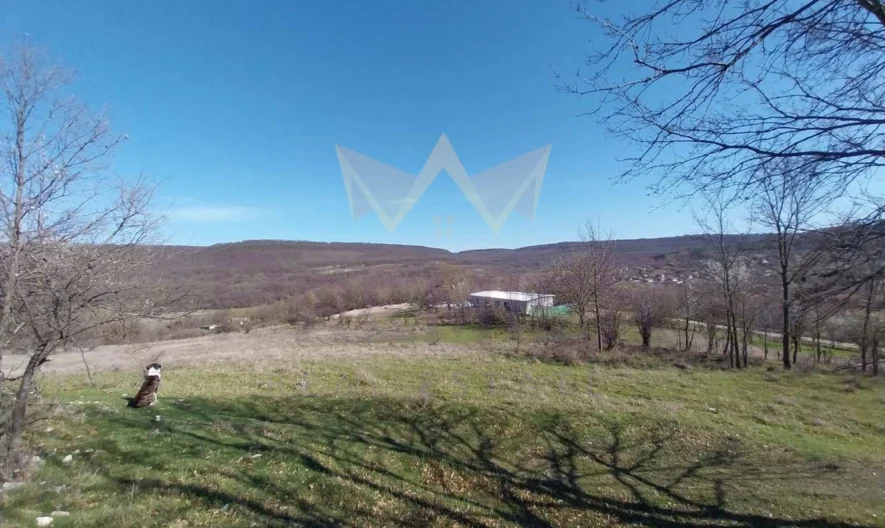 Парцел в с. Долище -  - снимка 6 - Имоти Премиер