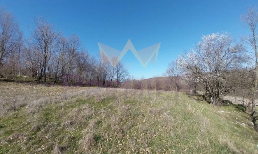 Парцел в с. Долище -  - снимка 7 - Имоти Премиер