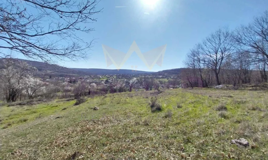 Парцел в с. Долище - - снимка 9 - Имоти Премиер