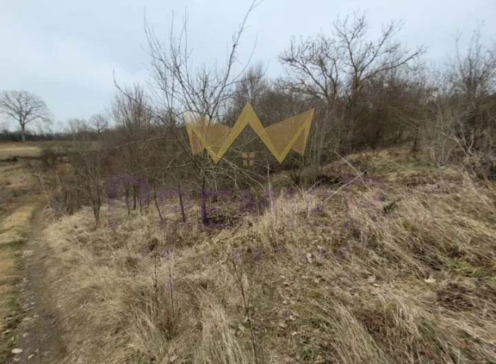 Парцел в с. Долище, обл. Варна -  - снимка 3 - Имоти Премиер