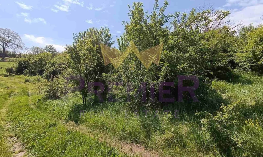 Парцел в с. Долище, обл. Варна -  - снимка 4 - Имоти Премиер