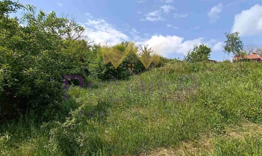 Парцел в с. Долище, обл. Варна -  - снимка 5 - Имоти Премиер