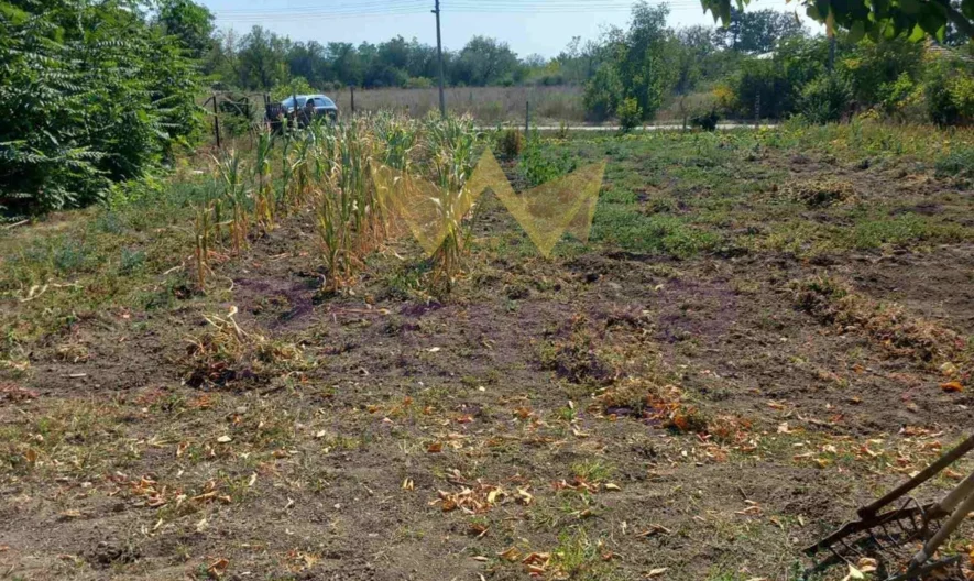 Парцел в с. Гурково -  - снимка 1 - Имоти Премиер