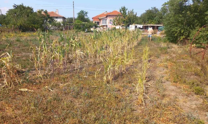 Парцел в с. Гурково -  - снимка 2 - Имоти Премиер