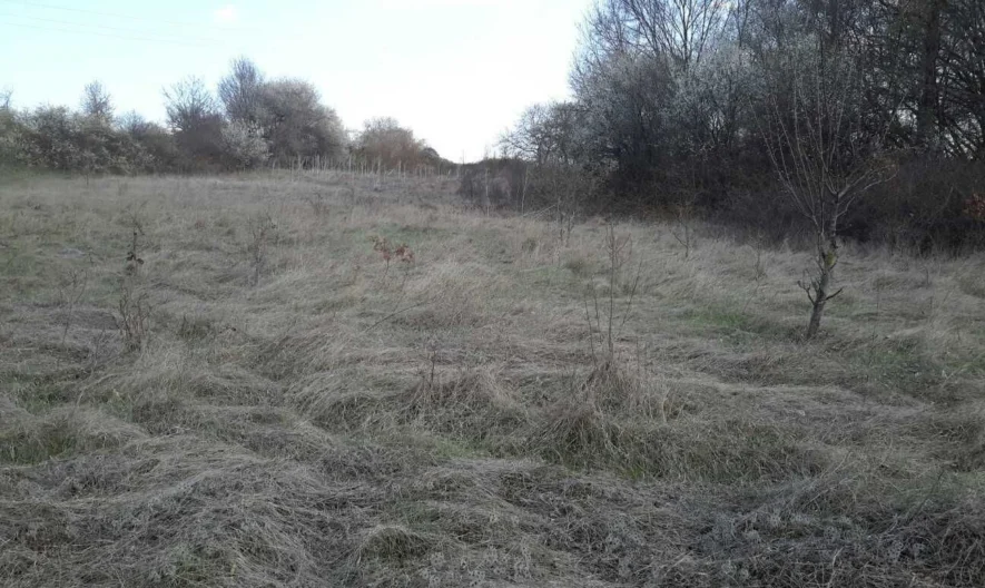 Парцел в с. Приселци -  - снимка 1 - Имоти Премиер