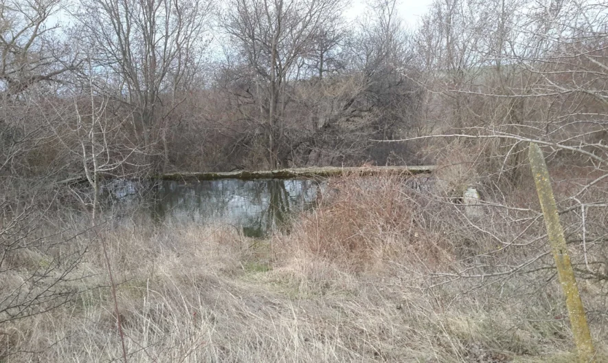 Агенция за недвижими имоти - Имоти Премиер - имот - 744838, Цена: 100000 EUR