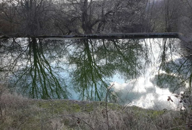 Агенция за недвижими имоти - Имоти Премиер - имот - 744838, Цена: 100000 EUR