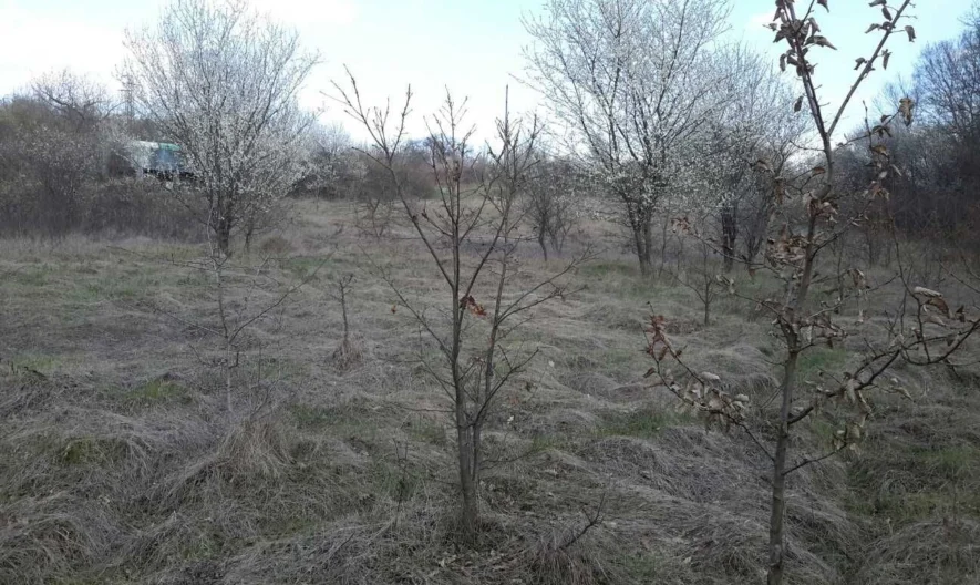 Парцел в с. Приселци -  - снимка 4 - Имоти Премиер