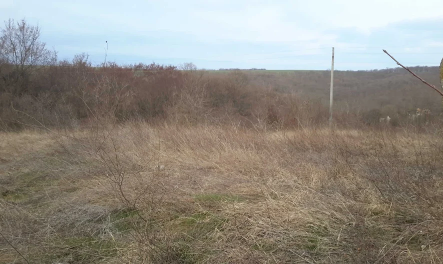 Парцел в с. Приселци -  - снимка 6 - Имоти Премиер